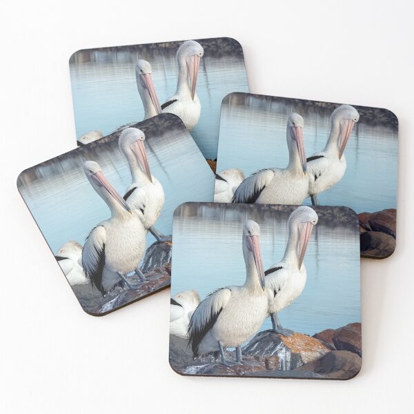 Item preview, Pelicans time out 32 designed and sold by kevin Chippindall.