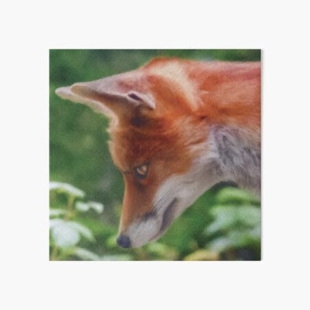 Item preview, Lonely Wandering Red Fox designed and sold by StarsForgers.