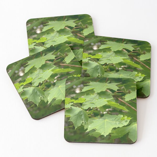 Item preview, Maple tree designed and sold by Babbler01.