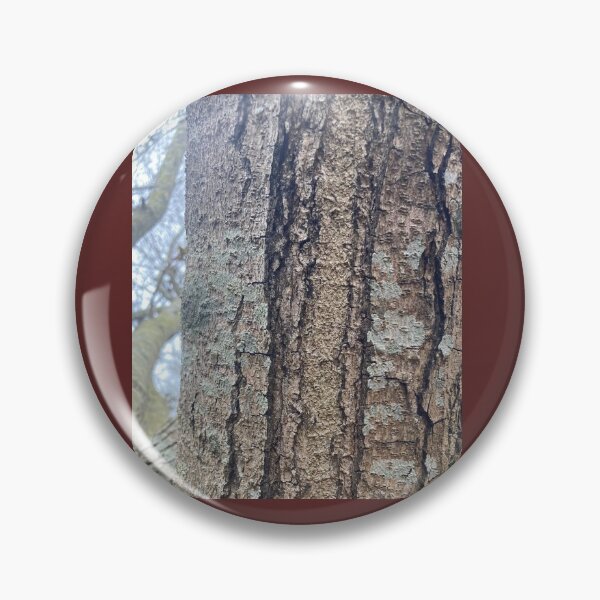 Item preview, Chinese Pistache Mature Bark designed and sold by Max Kindly.