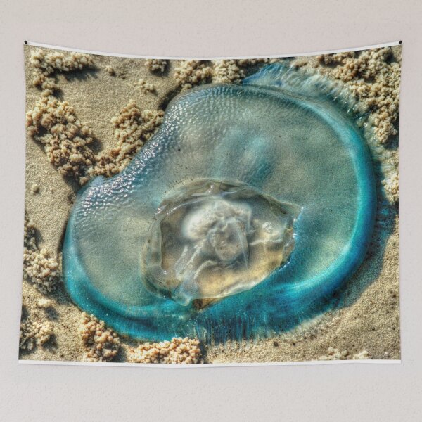 Item preview, Jellyfish on Sand designed and sold by Blackadder Photography.