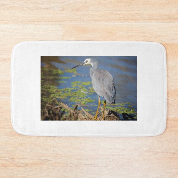 Item preview, White Faced Heron designed and sold by D-GaP.