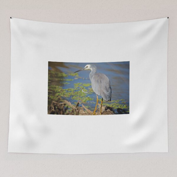 Item preview, White Faced Heron designed and sold by D-GaP.