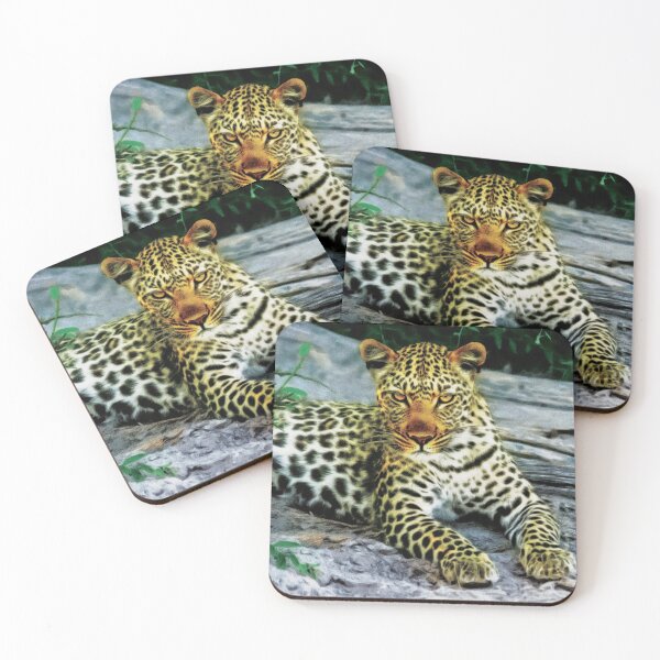 Item preview, Grumpy Leopard Posing For Camera designed and sold by StarsForgers.