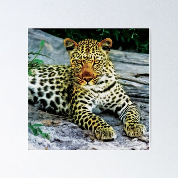 Item preview, Grumpy Leopard Posing For Camera designed and sold by StarsForgers.
