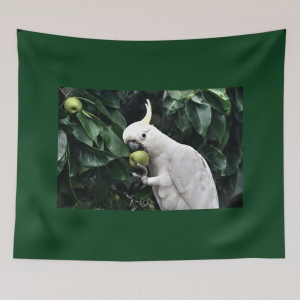 Item preview, Cocky crunches apple designed and sold by Blackadder Photography.