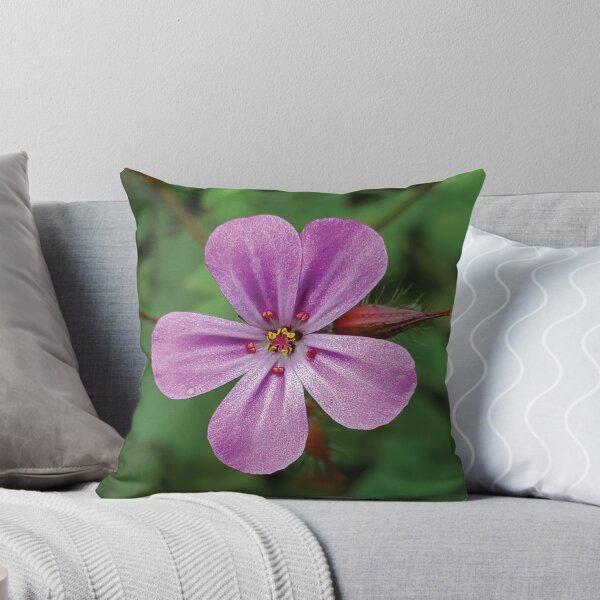 Item preview, Stinky Bob Geranium designed and sold by SnoWorks.