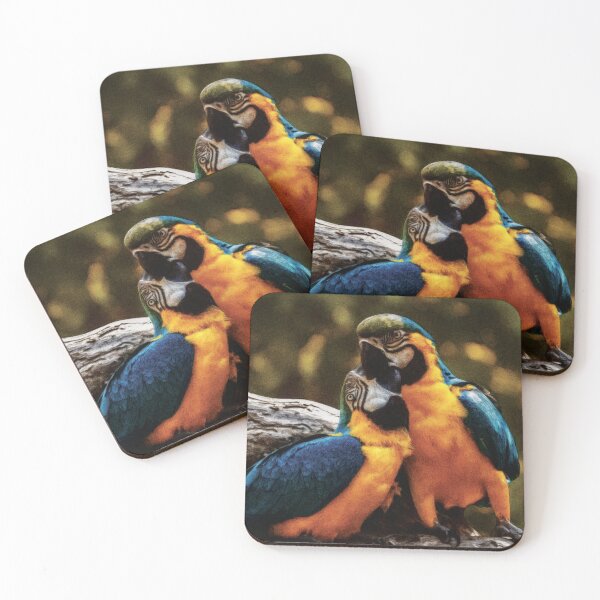 Item preview, Beautiful Parrots Couple  designed and sold by StarsForgers.