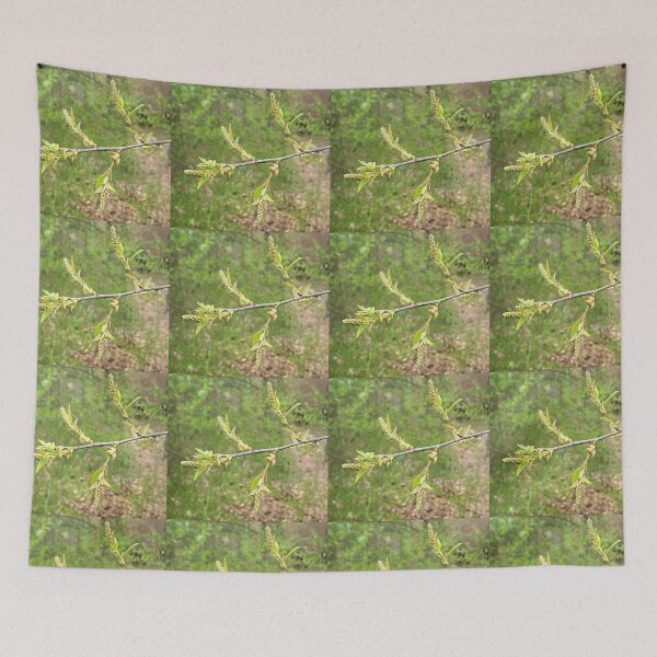 Item preview, Black Cherry Early Flowers designed and sold by Max Kindly.