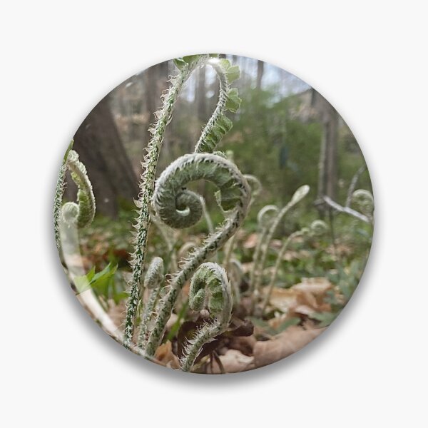 Item preview, Unraveling Ferns in Spring designed and sold by Max Kindly.