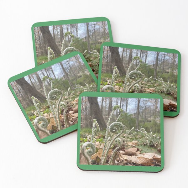 Item preview, Unraveling Ferns in Spring designed and sold by Max Kindly.