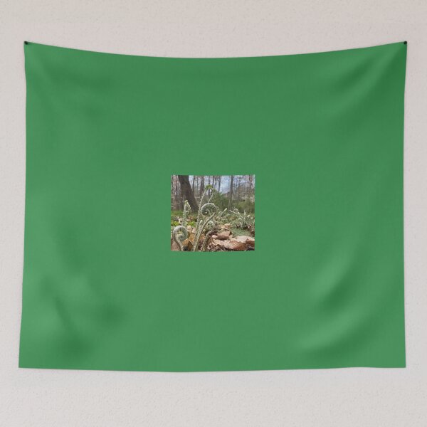 Item preview, Unraveling Ferns in Spring designed and sold by Max Kindly.