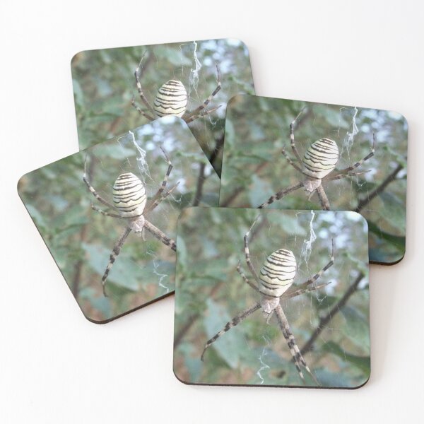 Item preview, Spider in the Wild designed and sold by MyQueendom.