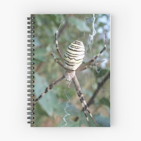 Item preview, Spider in the Wild designed and sold by MyQueendom.
