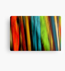 On Racks Metal Print