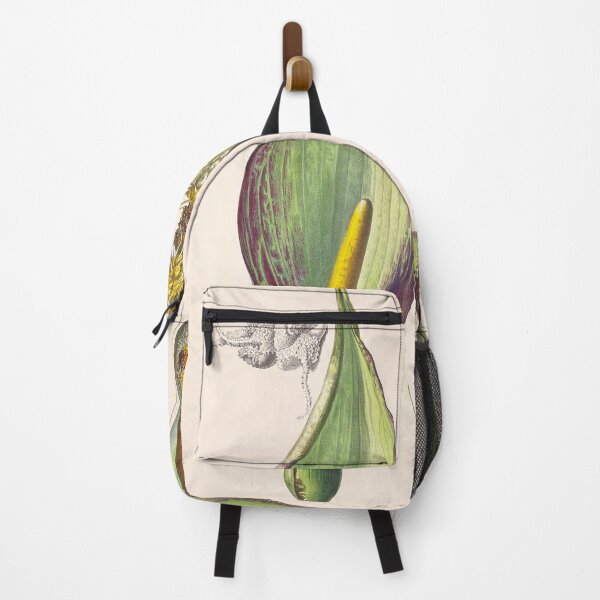 Item preview, Arum Concinnatum - Icones Aroidearum - Botanical Illustration designed and sold by chimakingthings.