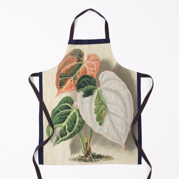 Artikelvorschau, Buntes Anthurium kristallin - Wiener illustrierte Garten-Zeitung - Botanische Illustration entworfen und verkauft von chimakingthings.