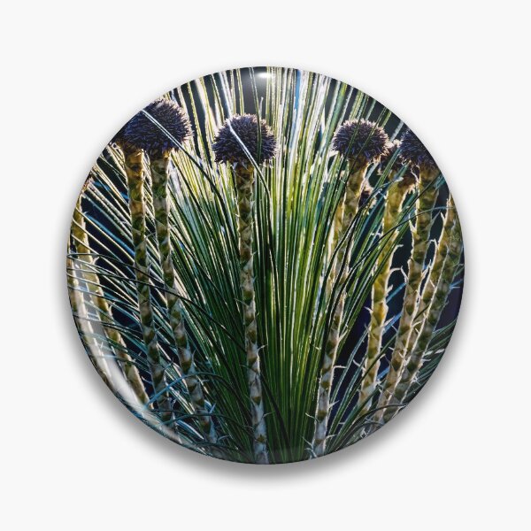 Item preview, Kingia australis designed and sold by Glenn-Smith.