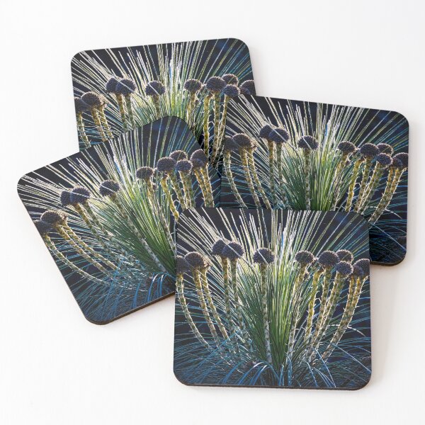 Item preview, Kingia australis designed and sold by Glenn-Smith.