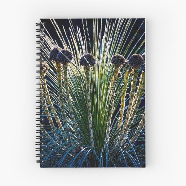 Item preview, Kingia australis designed and sold by Glenn-Smith.