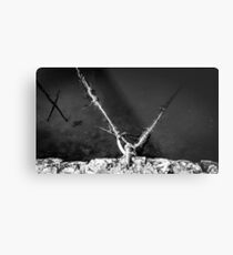 Victim Metal Print