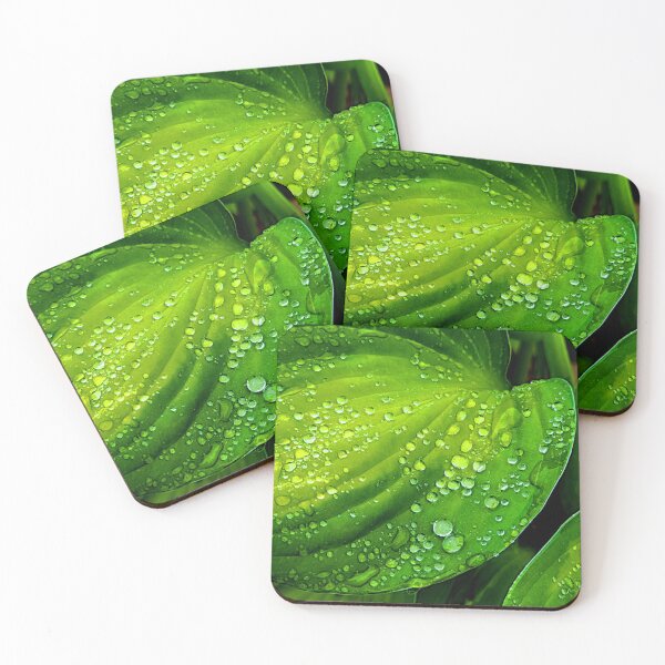 Item preview, Hosta Drops 1 designed and sold by DreamDave3000.