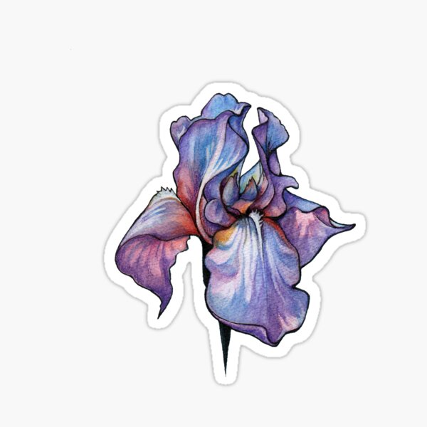 Sticker mural iris 