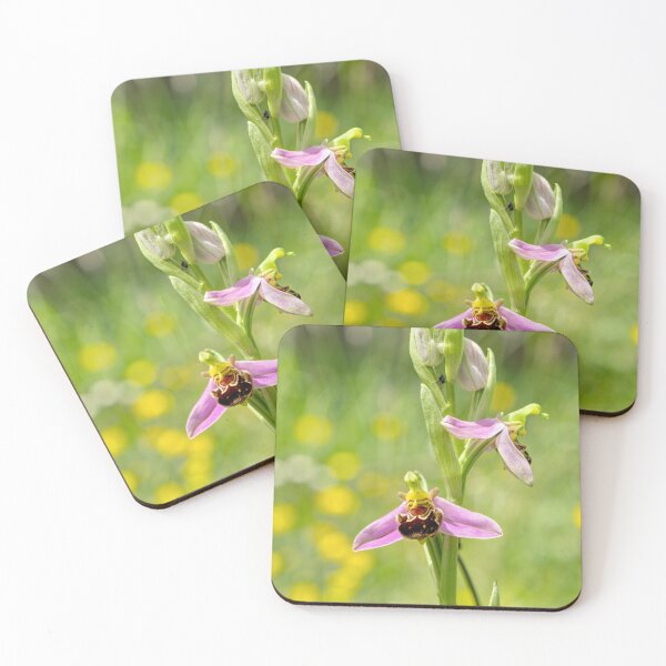 Item preview, Bee Orchid 01 designed and sold by Weston  Westmoreland.