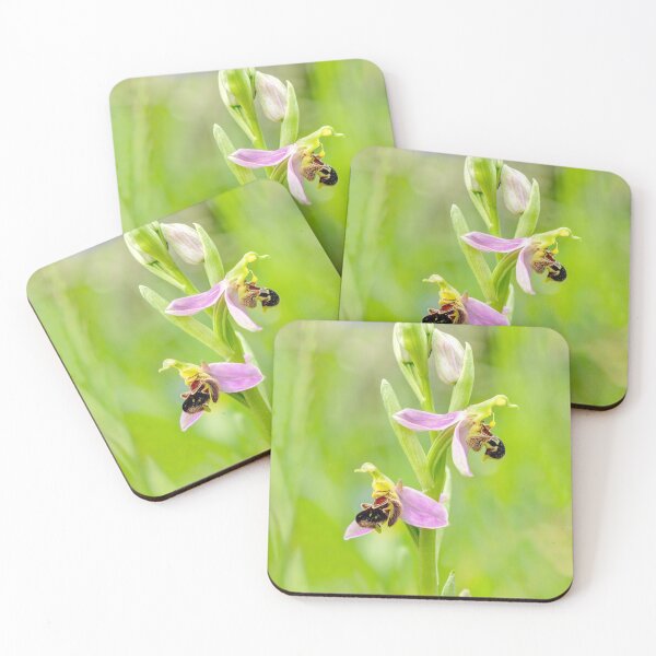 Item preview, Bee Orchid 02 designed and sold by Weston  Westmoreland.