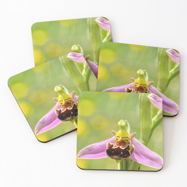 Item preview, Bee Orchid 01 Closer designed and sold by Weston  Westmoreland.