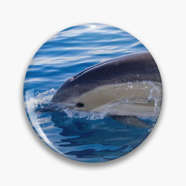 Item preview, Cute Common dolphin jumping in the Atlantic ocean. designed and sold by AylaHarbich.