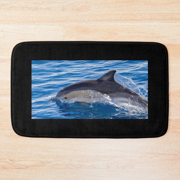 Item preview, Cute Common dolphin jumping in the Atlantic ocean. designed and sold by AylaHarbich.