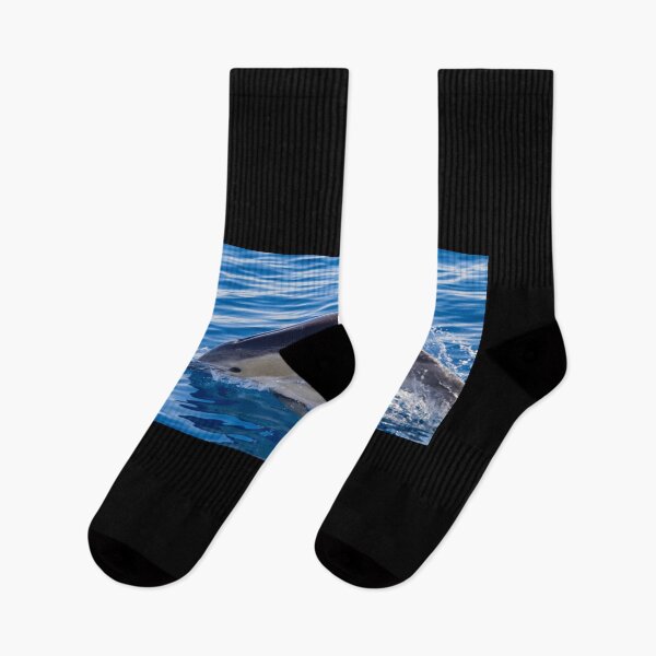 Item preview, Cute Common dolphin jumping in the Atlantic ocean. designed and sold by AylaHarbich.