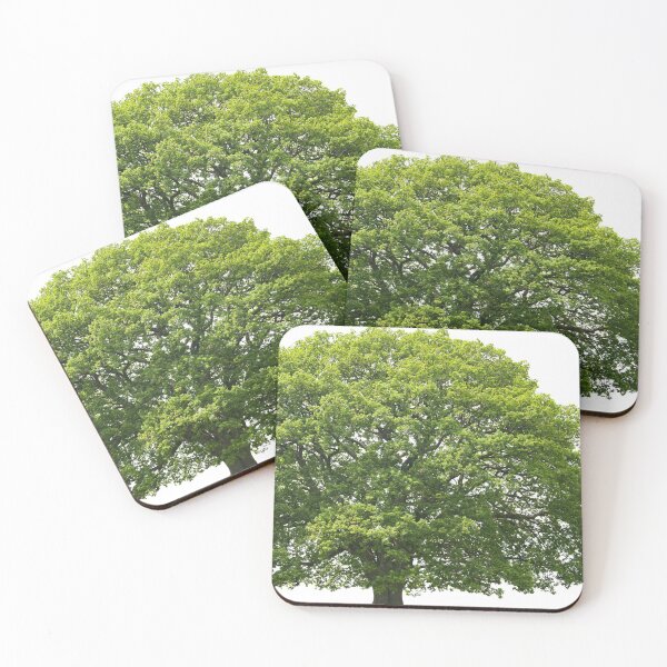 Item preview, German oak in May designed and sold by Ingo Gerlach.