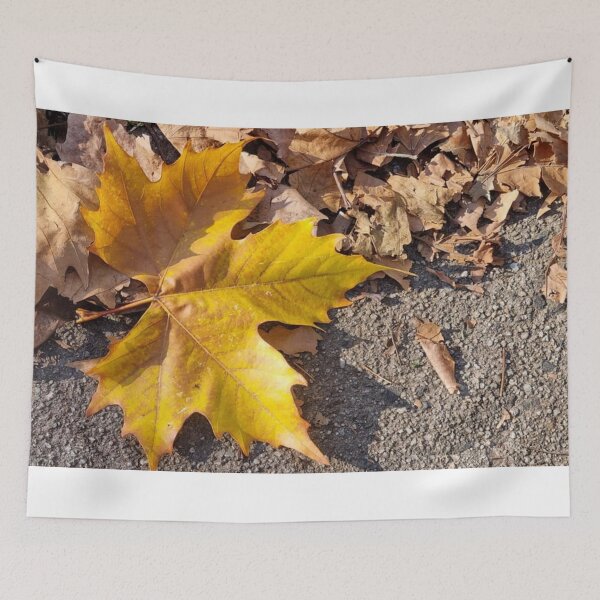 Item preview, Macro of a yellow maple leaf  designed and sold by Naomi80.