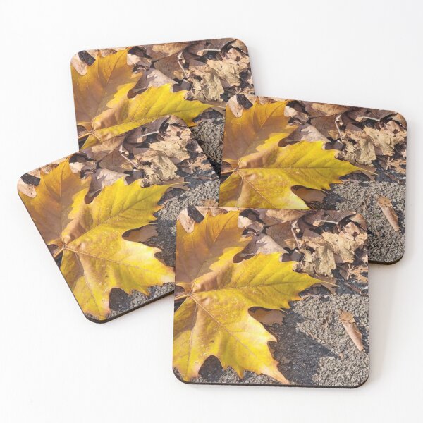 Item preview, Macro of a yellow maple leaf  designed and sold by Naomi80.
