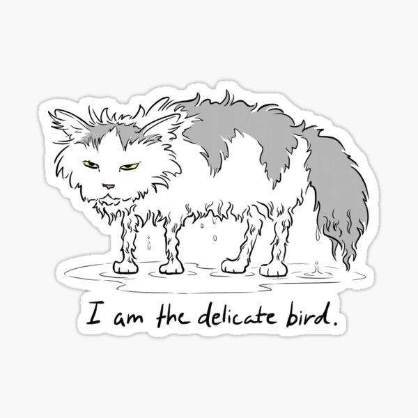 The Delicate Bird Sticker