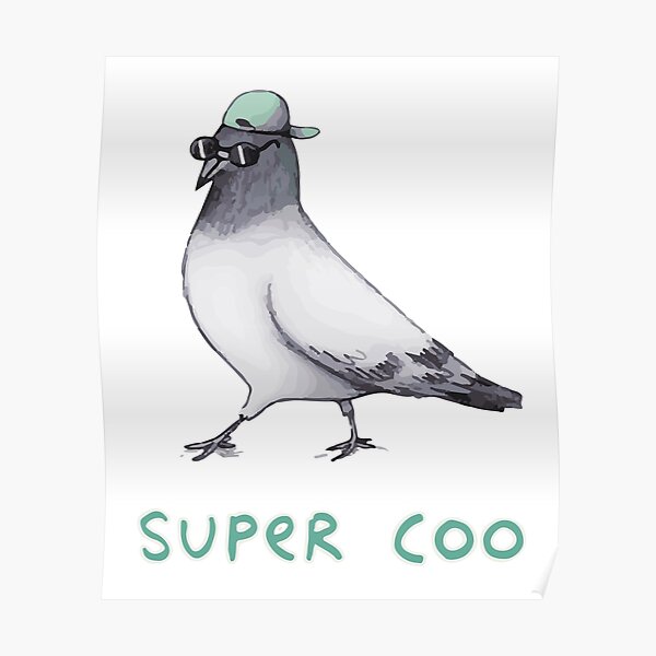 super coo pigeon Poster
