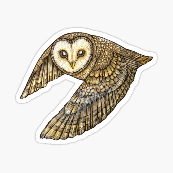 Silent Wings Sticker