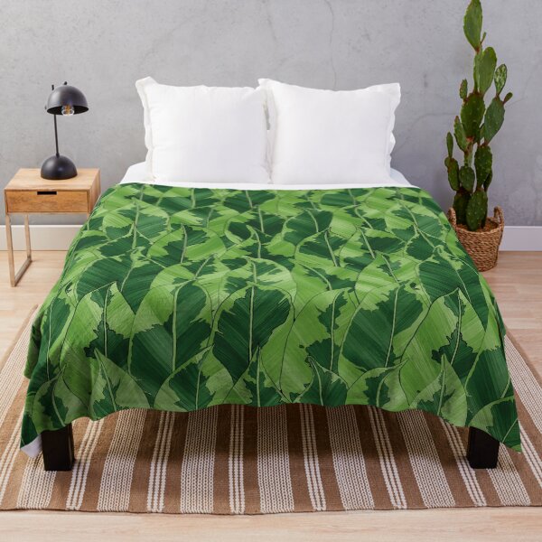 Item preview, Ficus Benjamin - plant specimen designed and sold by DesignByABC.
