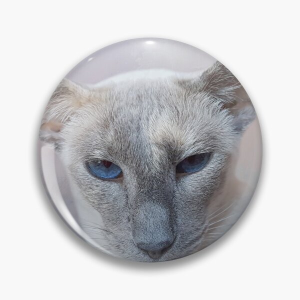 Item preview, Mister Siamese Two designed and sold by Elisabeth Lucas.