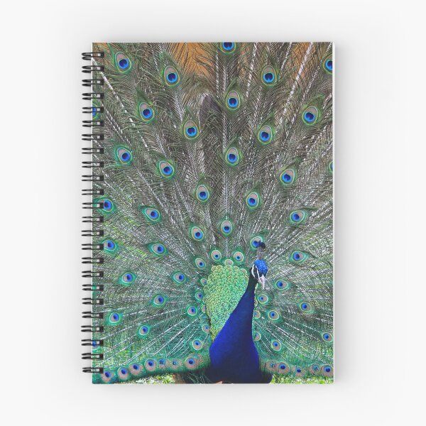 Item preview, Showy Peacock designed and sold by mahindle.