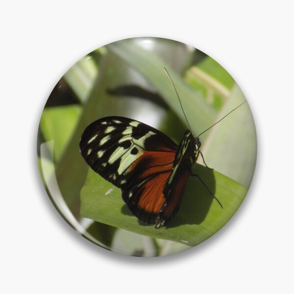 Item preview, Butterfly designed and sold by sophiah643.