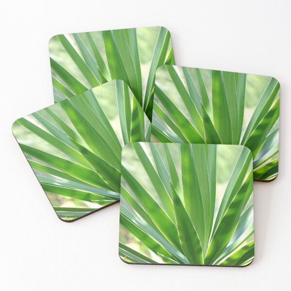 Item preview, Yucca palm designed and sold by Jmb67.