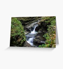 Watkins Glen, NY Greeting Card