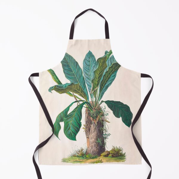 Item preview, Anthurium Hookeri - Icones Aroidearum - Botanical Illustration designed and sold by chimakingthings.