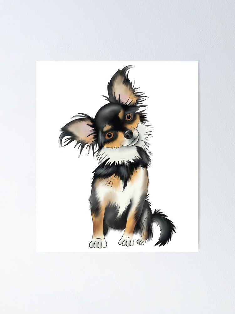 Poster for Sale avec l uvre Chihuahua mignon poil long