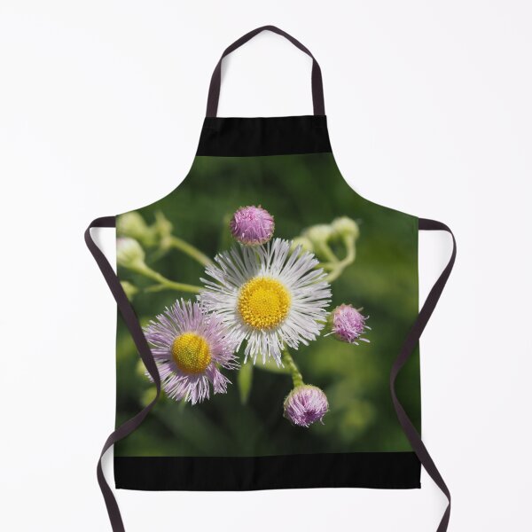 Item preview, Tall for a Daisy 1 designed and sold by litwphoto.