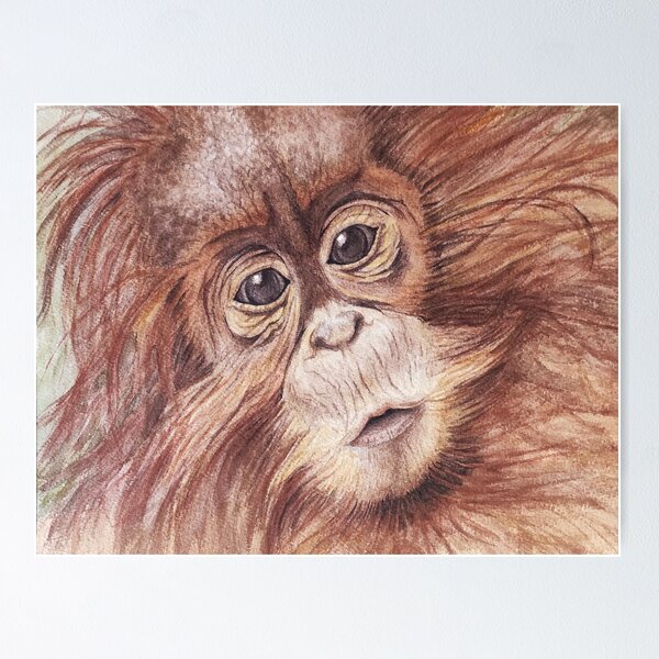 Peinture par Numéro Adulte，Singe orang-outan coloré abstrait