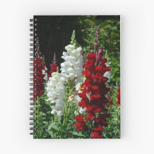 Item preview, nice snapdragon.  designed and sold by Lan thi Nguyen.